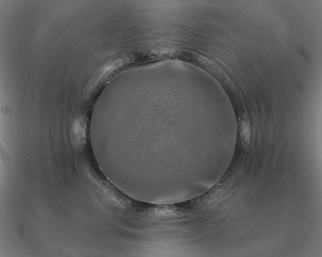 X0000090930668200708061604