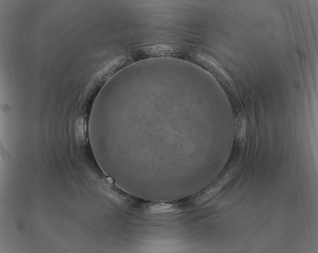 X0000090930669200708061604