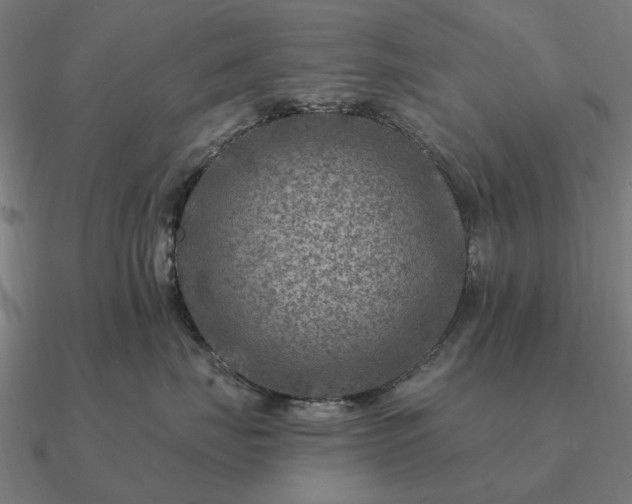 X0000090930671200708061604