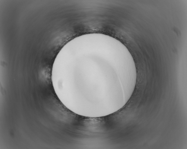 X0000090930672200708061604