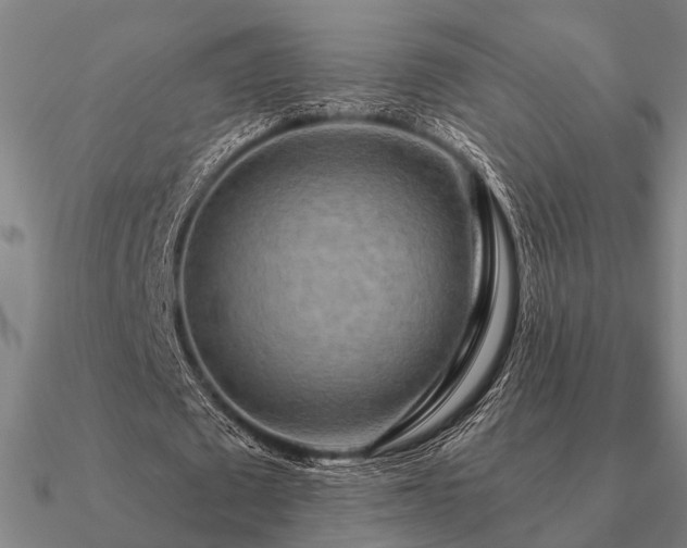 X0000090930673200708061603