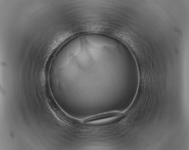 X0000090930674200708061603