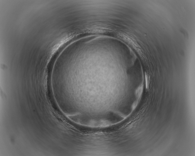 X0000090930675200708061603