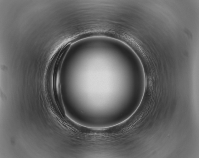 X0000090930676200708061603