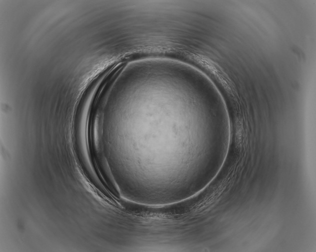 X0000090930677200708061603