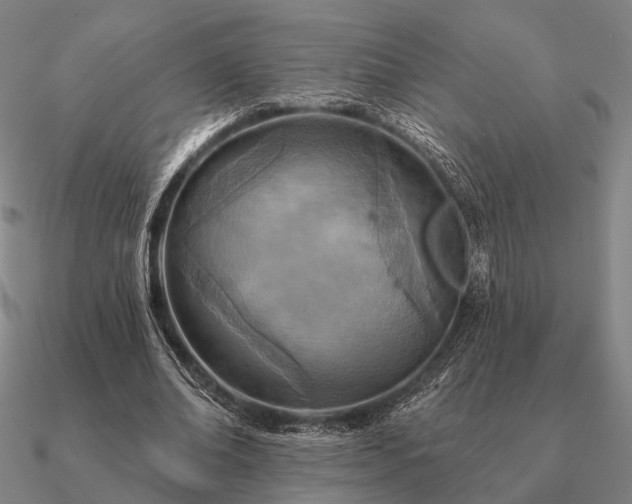 X0000090930678200708061603