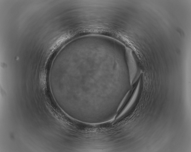 X0000090930679200708061603