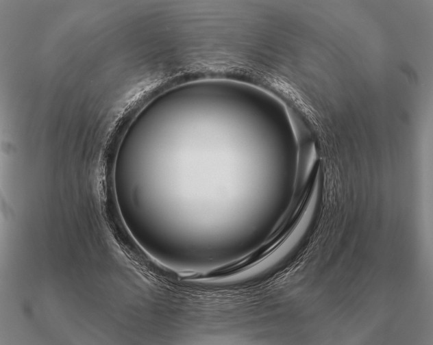 X0000090930680200708061603