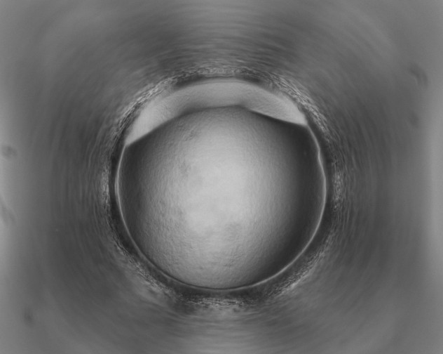 X0000090930681200708061603