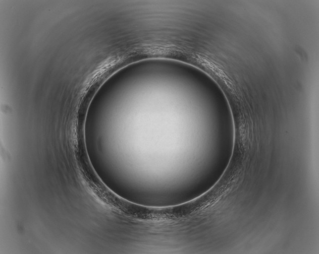 X0000090930682200708061603