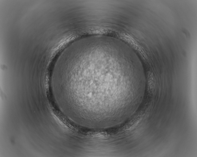 X0000090930683200708061603