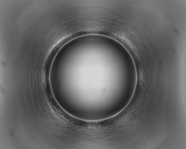 X0000090930684200708061603