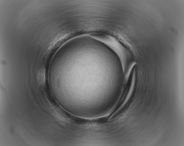 X0000090930685200708061603