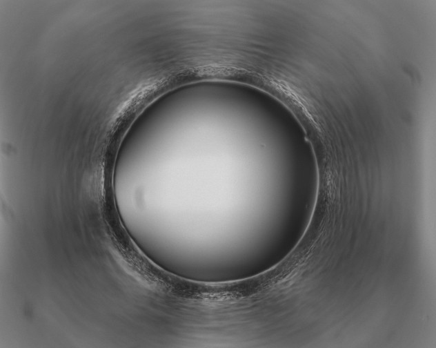 X0000090930686200708061603