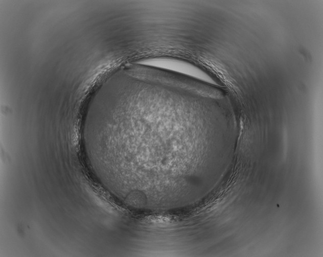 X0000090930687200708061603