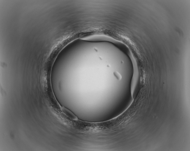 X0000090930688200708061603