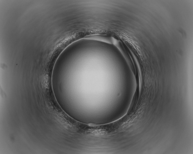 X0000090930689200708061603