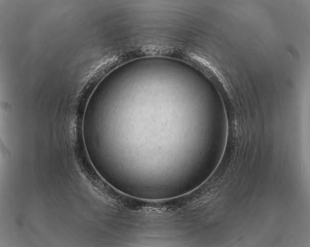 X0000090930690200708061603