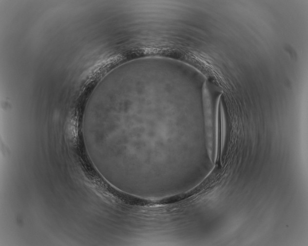 X0000090930691200708061603