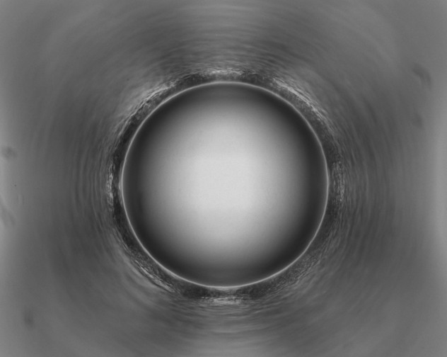 X0000090930692200708061603