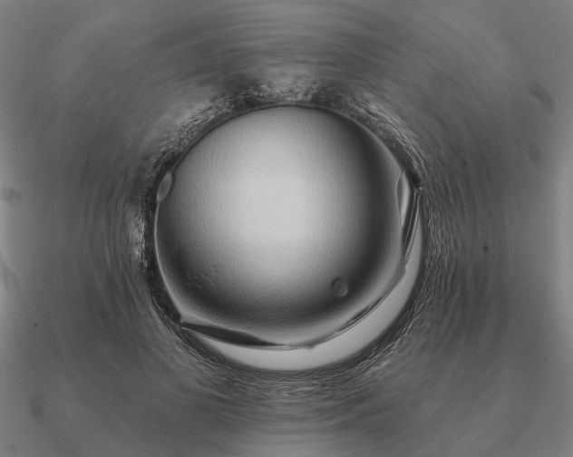 X0000090930693200708061603