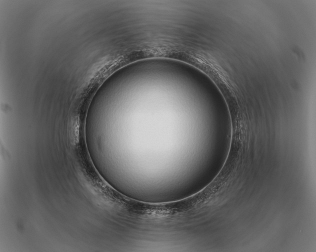 X0000090930694200708061603