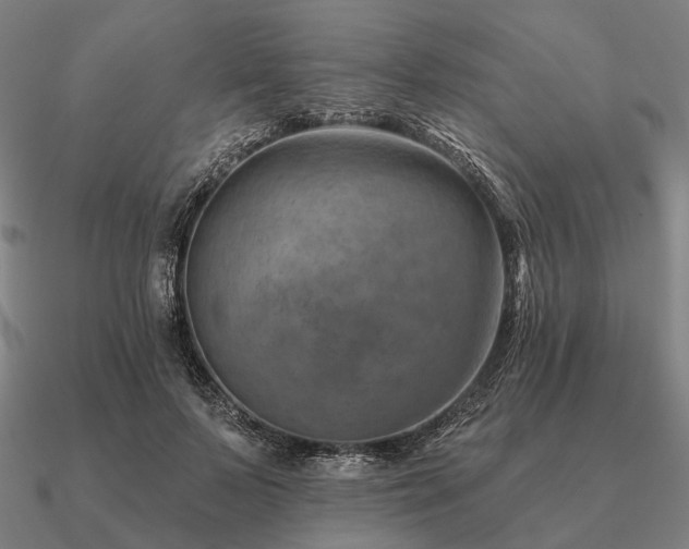 X0000090930695200708061603