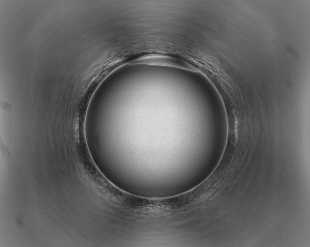 X0000090930696200708061603