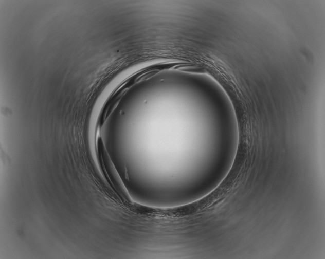 X0000090930697200708061603