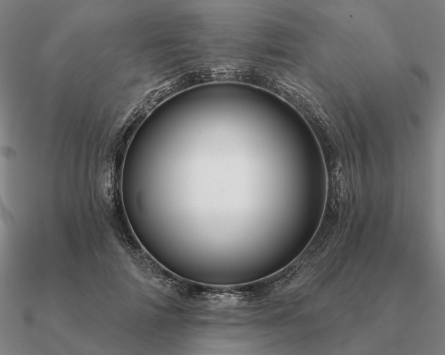 X0000090930698200708061603