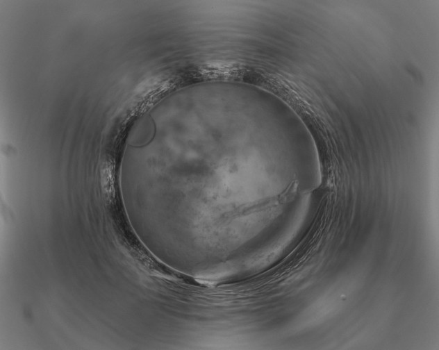 X0000090930699200708061603