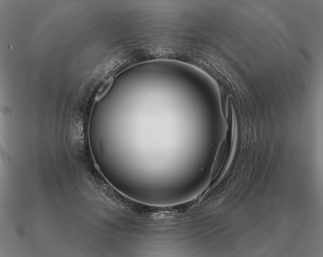 X0000090930700200708061603