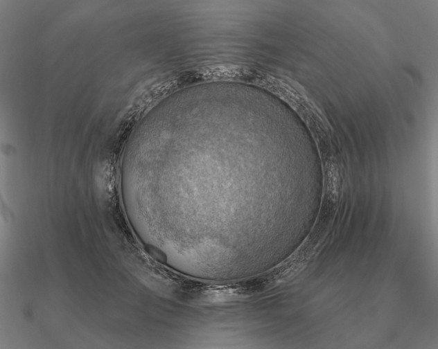 X0000090930701200708061603