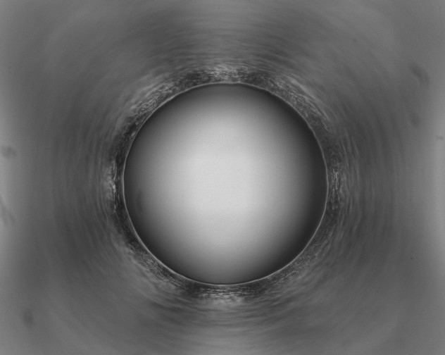 X0000090930702200708061603