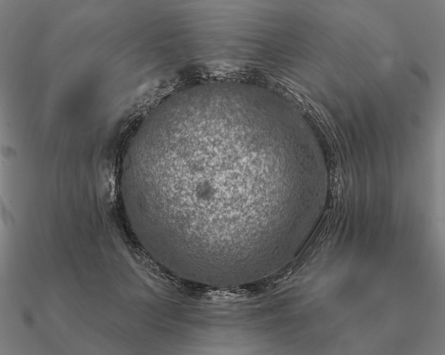 X0000090930703200708061603