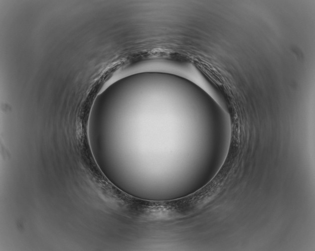 X0000090930704200708061603