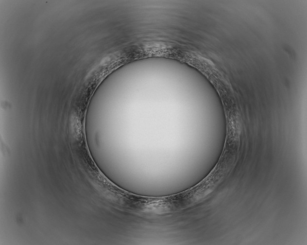 X0000090930705200708061603