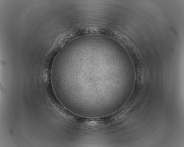 X0000090930706200708061603