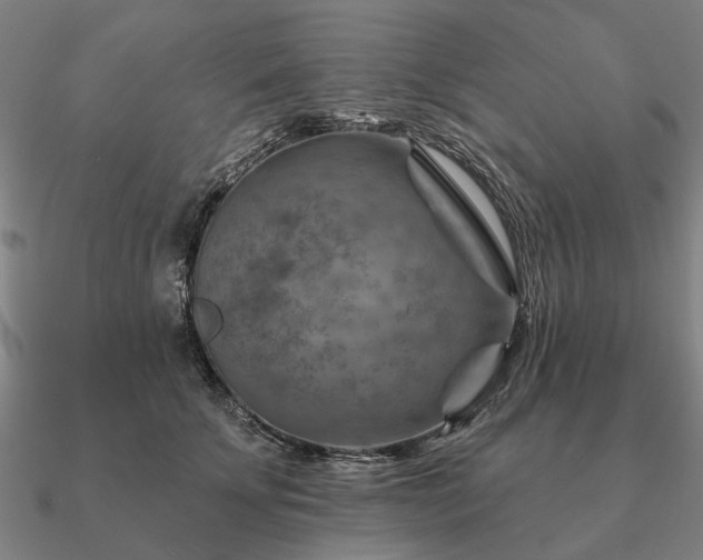 X0000090930707200708061603