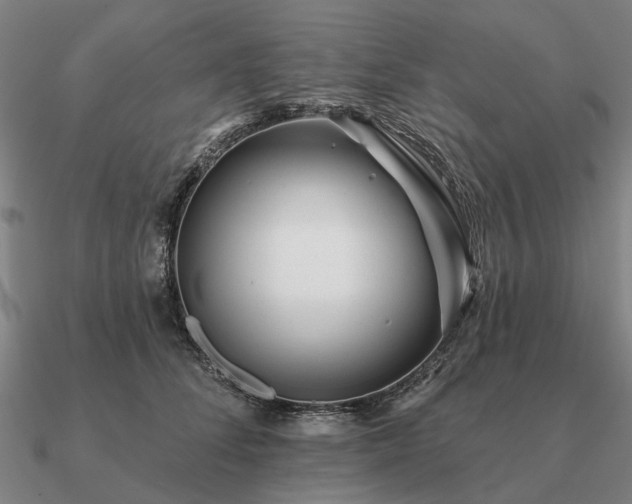 X0000090930708200708061603