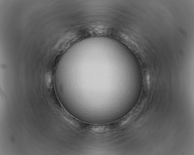 X0000090930709200708061603