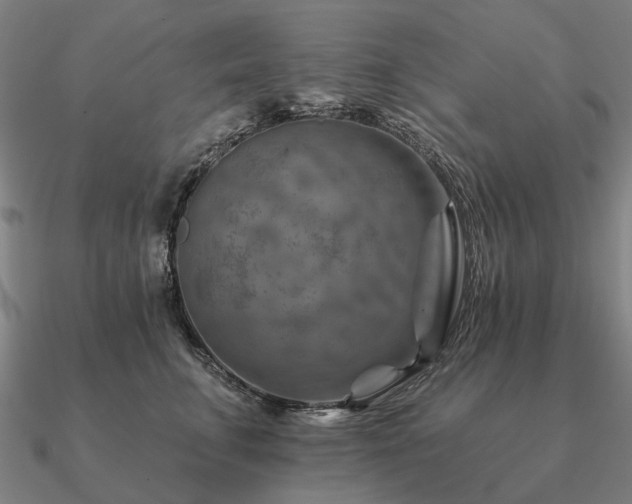 X0000090930711200708061603