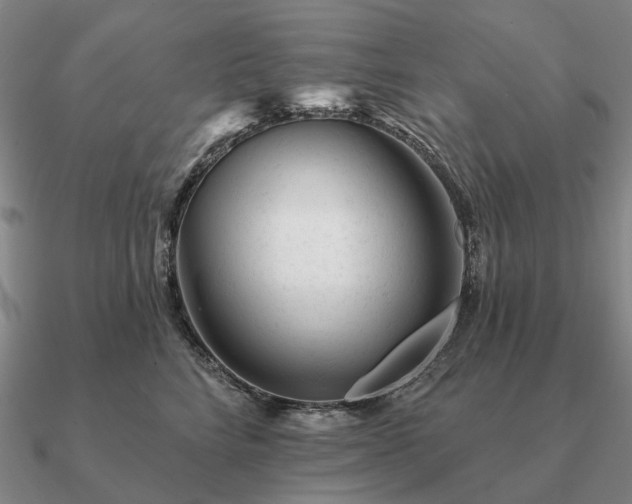 X0000090930712200708061603