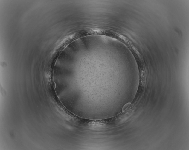 X0000090930714200708061603