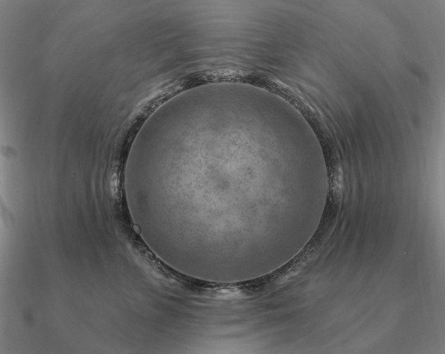 X0000090930715200708061603