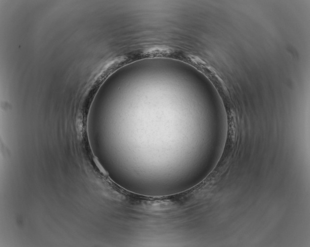 X0000090930716200708061603