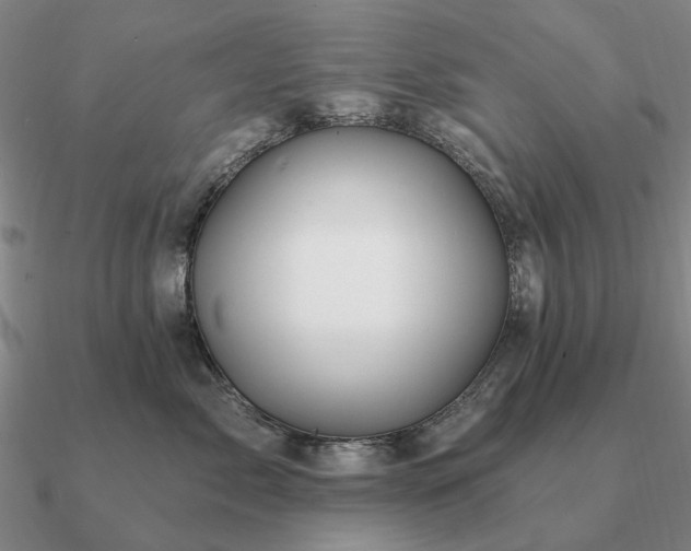 X0000090930717200708061603