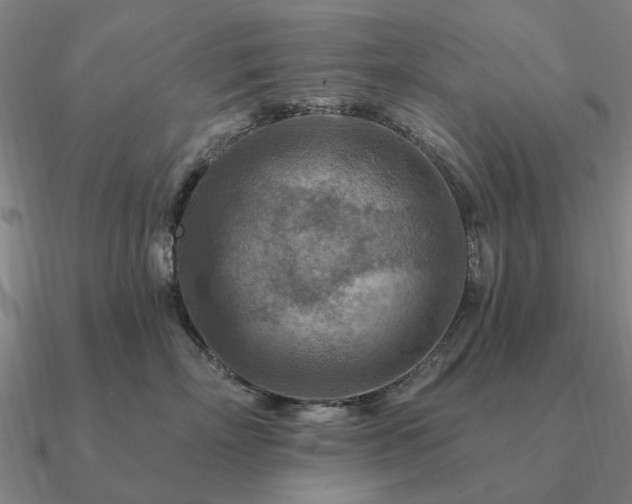 X0000090930718200708061603