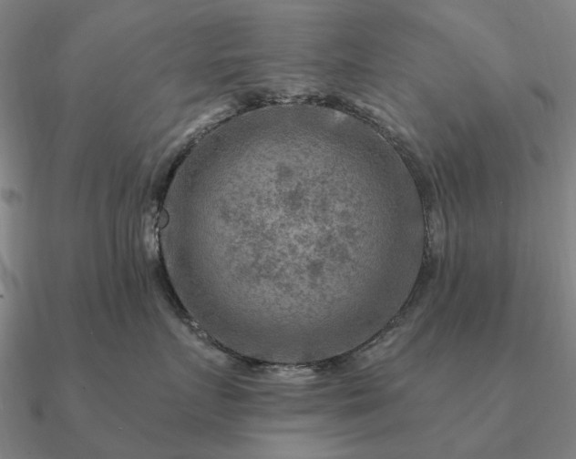 X0000090930719200708061603