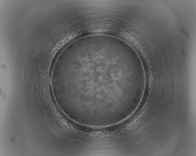 X0000090930721200708061602